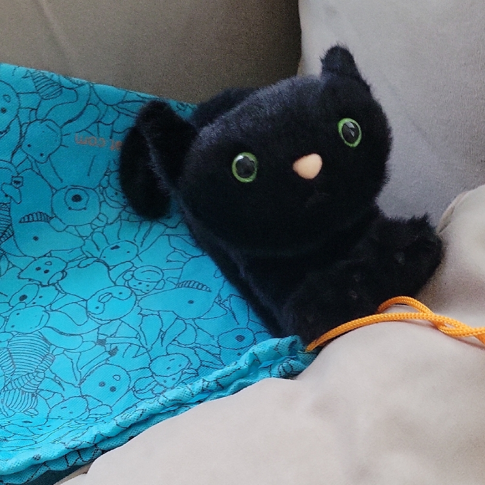 Jellycat Spookiepaws with Dustcover